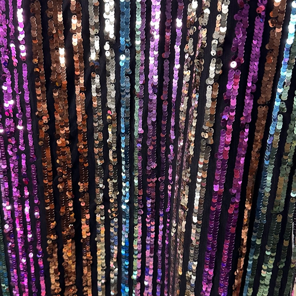 BNWT Atlantic PacificxHalogen Sequin Dress size 4 - Picture 4 of 5